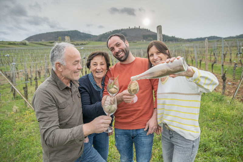 Alsace - Domaine Mann - Vignbole des 3 Terres