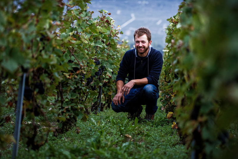 Champagne - Domaine Jean-Marc Sélèque