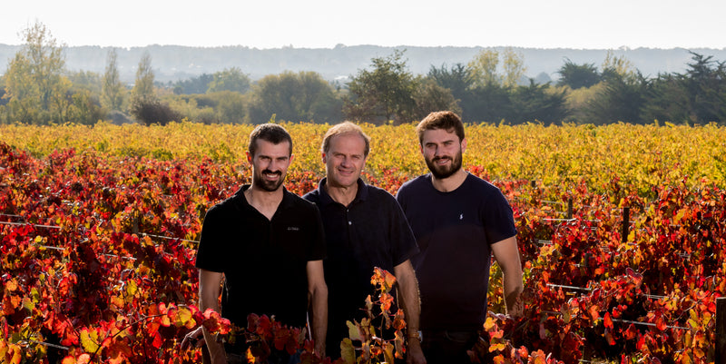 Loire - Domaine Michon